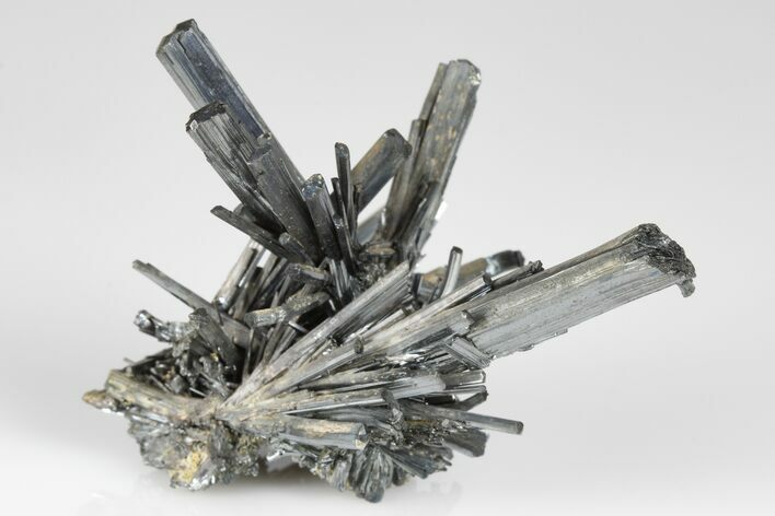 Lustrous, Metallic Stibnite Crystal Spray - China #175828